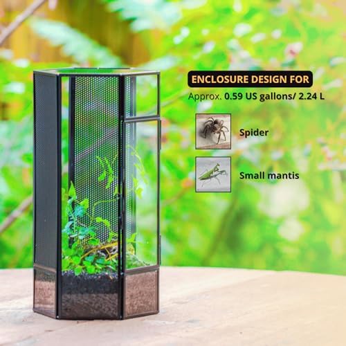 NCYP Small Glass Terrarium with Mesh and Door for Spiders, Hexagon Shape Small Mantis Vented Glass Terrarium 4.9'' x 4.3'' x 9.4'', Tabletop Decor, Black (Plants Not Include) - Image 2