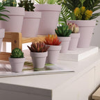 Yishang 1.9 Inch Tiny Pink Terracotta Pots Pack of 72-Small Mini White Clay Pots with Drainage Holes Flower Nursery Terra Cotta Planter for Tiny Cactus,Herb,Succulent Plants,Crafts - Image 4