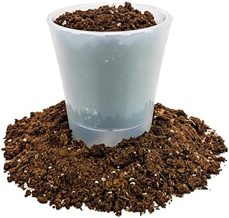 GARDENERA Money Tree Potting Soil Mix for Planting or Repotting Guiana Chestnut, Soil Blended to Properly Grow Money Tree Plants (4 Quart Bag) - Image 4
