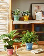 Metahom 5.8 Inch Ceramic Plant Pots, Flower Pots Set of 4, Assorted Colors - Image 4