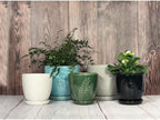 Aspen & Fig 8 Inch Indoor Ceramic Plant Pot with Drainage Hole and Attached Saucer, Emerald, Modern, Geometric, Perfect for House Plants, Herbs, Flowers, Succulents - Image 2
