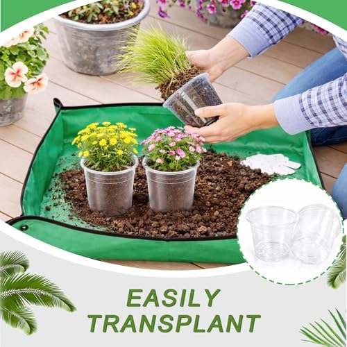 12PCS 5.75/7/8/10 in Clear Nursery Pots with Drainage Plant Pots - Image 5