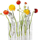 Glass Plant Propagation Station 8 Test Tubes Glass Vase Water Plants Terrarium Holder for Propagating Hydroponic Plants with Brush Hooks by YIRUZWRD