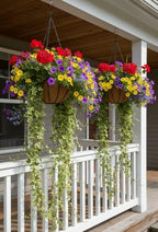 14in Bellus Hanging Basket - 14in x 9in - Black PVC Coated - Image 5