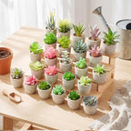 24 Pack Assorted Artificial Succulents in Retro Pulp Pots Bulk Fake Succulent Plants with Vintage Stone-Like Paper Pulp Pots Variety Set for Home, Office & Desk Decor (Various Style) - Image 6