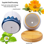 Succulent Pots, 3.5 Inch Small Succulent Planters with Drainage for Plants Live, Hand-Painted Ceramic Pot Flower Pots Bonsai Pots with Bamboo Tray, Unique Gifts for Women/Men, 4 Pack (Abstract) - Image 3