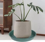 2 Pack of Bird Bath Bowl 19", 2.3" Depth, 18 19 inch Plant Tray Saucer, Plastic Birdbath Bowls Only, Birdbath Dish for The Garden, Large Plant Saucer (19", Green) - Image 4