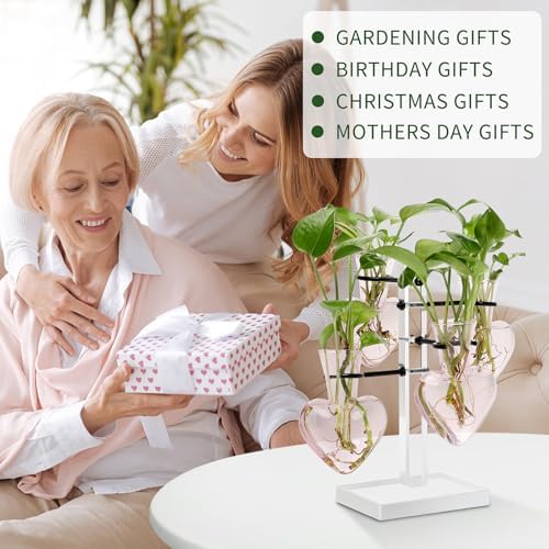 Plants Propagation Stations Plant Terrarium Kit Gift for Women - Image 5