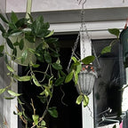Vintage Iron Hanging Planter Basket with Chain, Rustic Distressed Metal Flower Pot Holder for Indoor Outdoor Plants, Farmhouse Hanging Wall Ceiling Decor, 17.7 Inch - Image 5