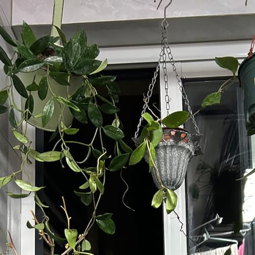 Vintage Iron Hanging Planter Basket with Chain, Rustic Distressed Metal Flower Pot Holder for Indoor Outdoor Plants, Farmhouse Hanging Wall Ceiling Decor, 17.7 Inch - Image 5