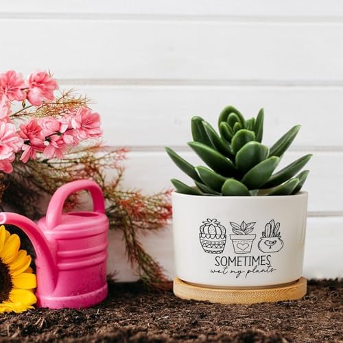 DreamAutumn Pack of 3 Planters Ceramic Sometimes Wet My Plants Ceramic Pots with Drainage Holes Round Flowerpot Bamboo Tray Plant Pots for Succuelnt and Little Snake Plants - Image 5