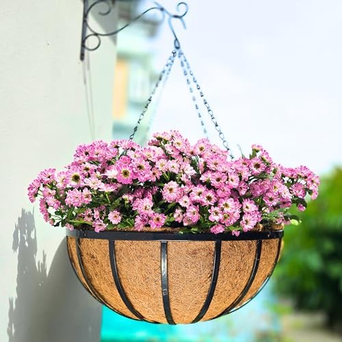 LaLaGreen Metal Hanging Baskets (18 in, 4 Pack) Black Coco Liner Plant Pots by L%C3%A1L%C3%A1Green