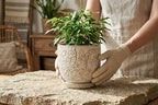 Decorative Ceramic Planter Pot with Saucer, Brown with Gold and Silver Owl Pattern, Indoor Garden Container with Drainage (White, 6 inch) - Image 5