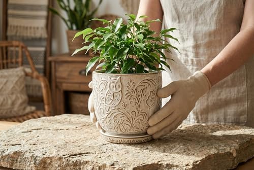 Decorative Ceramic Planter Pot with Saucer, Brown with Gold and Silver Owl Pattern, Indoor Garden Container with Drainage (White, 6 inch) - Image 5