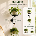 3-Pack Wall Plant Holder for Indoor Outdoor Plants, Metal Wall Planter - Image 2