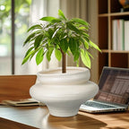 Ceramic Plant Pots 11 Inch - Bonsai Large Planters for Indoor Plants with Drainage Hole, White Planter for Home Garden Patio Office, Gift for Women Men - Image 2