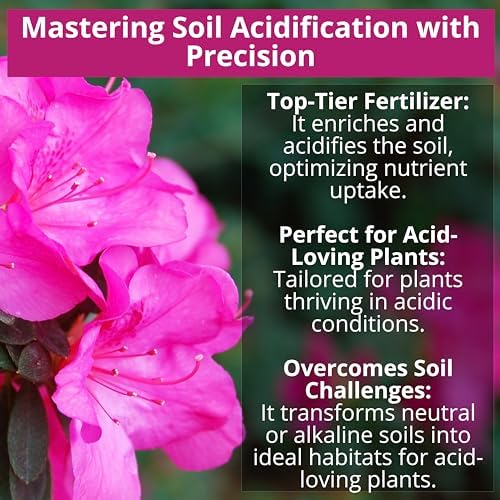 GARDENWISE Professional Citrus Fertilizer + Vital Micronutrients & 8-4-8 Acidic Fertilizer Bundle - Ideal for All Citrus Orange, Avocado & Lemon Tree, Acidic Fertilizer for Azaleas, Camellias (2 Qr) - Image 3