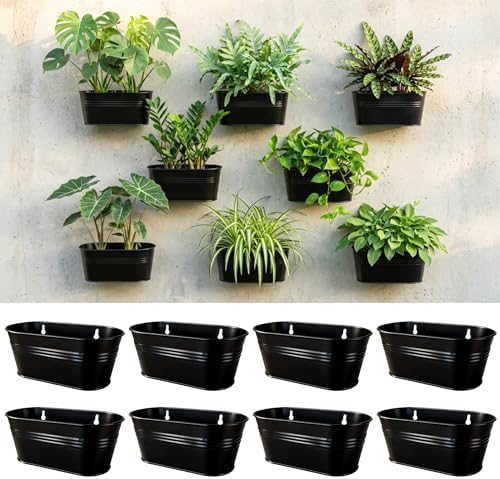 LaLaGreen Modern Wall Planter (9.8 in, 8 Pack) Black Metal Plant Shelf by L%C3%A1L%C3%A1Green