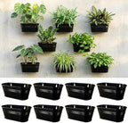 LaLaGreen Modern Wall Planter (9.8 in, 8 Pack) Black Metal Plant Shelf by L%C3%A1L%C3%A1Green