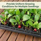 Gardzen 10 Pack 32 Cell Seed Starter Trays - Image 2
