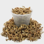 Gardenera Sphagnum Moss Potting Mix for Carnivorous Plants, Moss and Perlite Blend for Potting Venus Fly Traps, Sarracenia, Pitcher Plants - Sphagnum Moss & Perlite - Made in USA - 10 Quart - Image 5