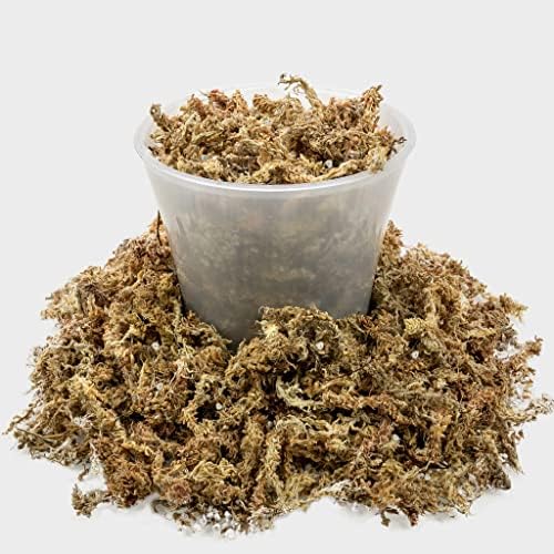 Gardenera Sphagnum Moss Potting Mix for Carnivorous Plants, Moss and Perlite Blend for Potting Venus Fly Traps, Sarracenia, Pitcher Plants - Sphagnum Moss & Perlite - Made in USA - 10 Quart - Image 5