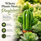 SURE YUESI 4PCS Self Watering Globes, Automatic Terracotta Watering Bulbs - Watering Spikes, Vacation Plant Watering Devices System, Plant Watering Globes for Indoor and Outdoor Plants - Cactus - Image 3