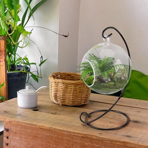 Air Plant Terrarium Kit with Stand, Hanging Glass VaseTerrarium Globe with Metal Ornament Display Stand Tabletop Glass Terrarium for Air Plants Succulent Planters Small Plants - Image 6