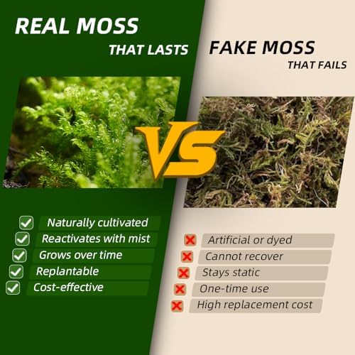 Live Moss – Plagiomnium Moss (3 Sheets, Each Approx. 3.5"x7") for Terrariums, Moss Balls, Bonsai & Natural Plant Decor – Naturally Grown, Reusable, Not Artificial - Image 4