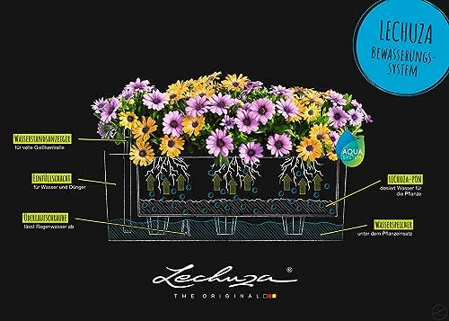 Lechuza BALCONERA Cottage 50 Mocha, Self-Watering Window Box (Railing Planter), H7.5 L19.7 W7.5 in - Image 5