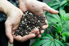 Gardenera Organic Autoflower Plants Potting Soil Mix - Perfect Balance of Nutrients, Drainage, and Aeration for Thriving Autoflower Plants- 5 Quart - Image 2
