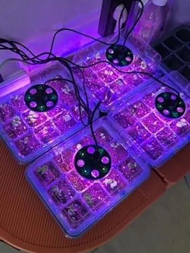 Seed Starter Tray with Built-in LED Grow Light, Adjustable Vent Humidity Dome Germination Box, Breathable Plant Seed Starting Pots, Indoor Garden Greenhouse Seedling (3-6 Cell Square) - Image 7