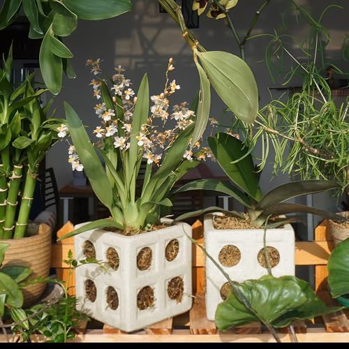 Gnliny Ceramic Orchid Pot, 4" Cube Breathable Planter for Air Plants, White - Image 5