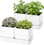 D'vine Dev 2-Pack Herb Garden Planter Set with Saucer, White, 76-Q-A-2 by DvineDevPlanterPotsandStand