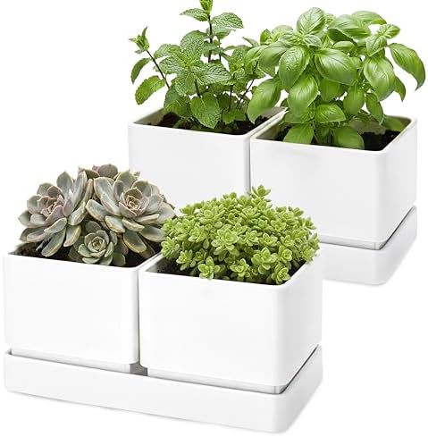 D'vine Dev 2-Pack Herb Garden Planter Set with Saucer, White, 76-Q-A-2 by DvineDevPlanterPotsandStand