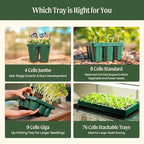 Vego garden Standard Seedling Trays Without Lids, 8 Pack for Seedlings Reusable Propagator Growing Starter Tray, Germination Trays Kit for Greenhouse/Garden (8-Cell per Tray) - Image 5