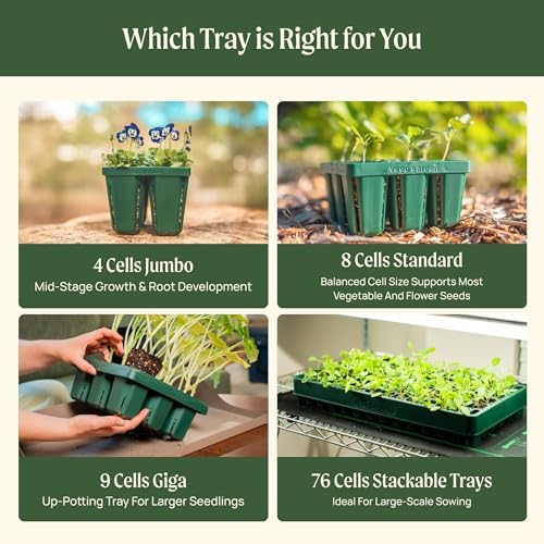 Vego garden Standard Seedling Trays Without Lids, 16 Pack for Seedlings Reusable Propagator Growing Starter Tray, Germination Trays Kit for Greenhouse/Garden (8-Cell per Tray) - Image 6