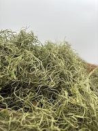 Preserved Spanish Moss Spring Green (9, Pounds) - Image 2