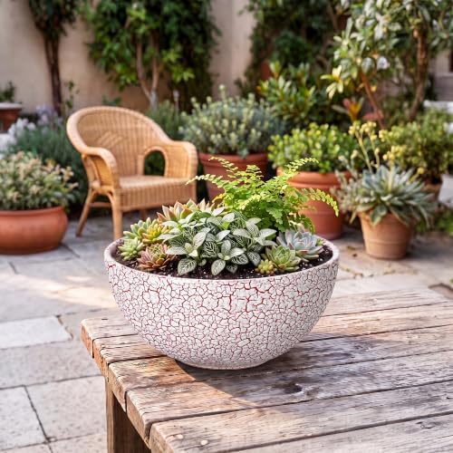Succulent Pots 12 Inch, Ceramic Bonsai Planter, Texture Red - Image 7