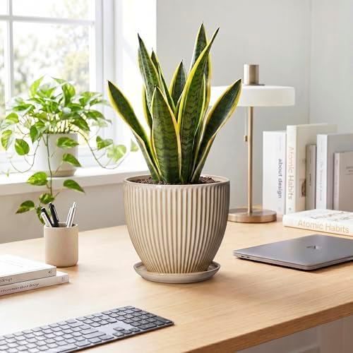 8 Inch Pots for Plants, Ceramic Planter with Saucer, Beige - Image 3