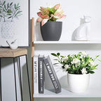 T4U Self Watering Planters Plastic 6 Inch Black Set of 10, Plant Flower Pot Modern Decorative Seeding Nursery Pots Outdoor Indoor Garden for All House Plants Flowers Herbs African Violets - Image 2