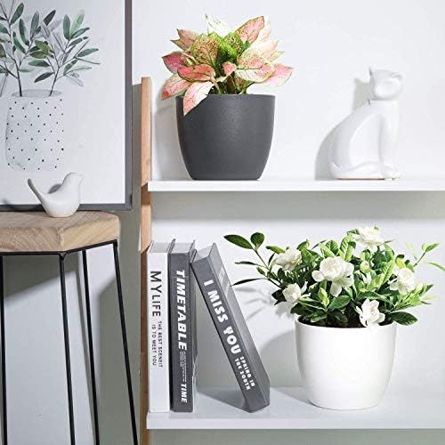 T4U Self Watering Planters Plastic 6 Inch Black Set of 10, Plant Flower Pot Modern Decorative Seeding Nursery Pots Outdoor Indoor Garden for All House Plants Flowers Herbs African Violets - Image 2