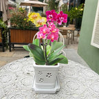 Rectangle Ceramic Orchid Pot with Holes and Saucer 12Inch Ceramic Large Pot Basin for Refilling Indoor and Outdoor Use Air Circulation Orchid Planter for Repotting Planter White - Image 4