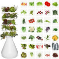 Lettuce Grow Farmstand Indoor Starter Kit | Glow Rings | 30 Seedlings | 5ft by LettuceGrow