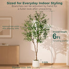6FT Faux Olive Tree with Decorative Planter, Olive Trees Artificial Indoor with Textured Trunk, Silk Leaves and Olive Fruits, Fake Plants for Living Room, Entryway and Office Decor - Image 3