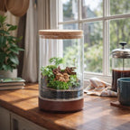 Clear Glass Houseplant Terrarium Planter, 6" W x 10" H, Cylindrical Terrarium with Wooden Base & Cork Lid | Versatile Tabletop Decoration for Home or Office or Hydroponics (Plant Not Included), 41-A-M - Image 3