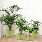 12-inch-Planters-for-Outdoor-Plant，Plastic Indoor Flower Pots with Drainage Holes & Saucer，4 Packs Decorative Garden Pots for Plantfor Home Porch Decor - Image 6