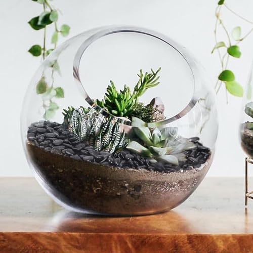 10LB Black Pebbles for Indoor Plants, 3/8 Inch Polished Small Rocks - Image 6