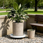 1 PCS 20 Inch Extra Large Plant Caddy with Wheels,Heavy Duty Wheeled Stand - Image 6