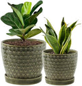 Plant Pots, Flower Pots, Planters for Indoor Plants(6.5+5.5inch), Flower Pots for Indoor Plant with Drainage Hole and Saucer, Ceramic Pots for Plants with Hole Mesh Pad,Reactive Glaze Green by Swkien